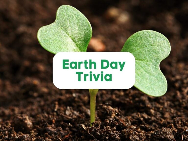 Earth day trivia (2023)