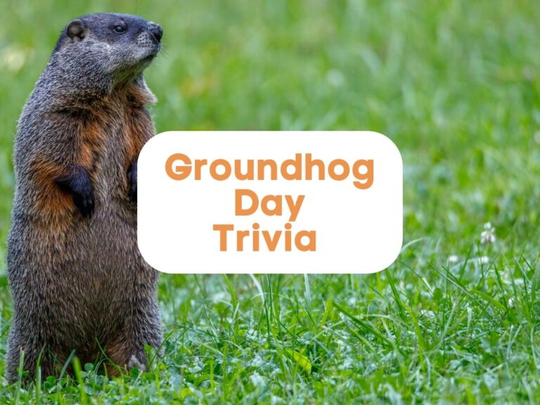 Groundhog day trivia questions and answers