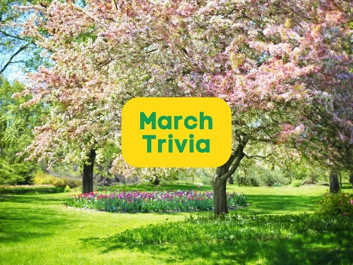 Spring trees representing March trivia