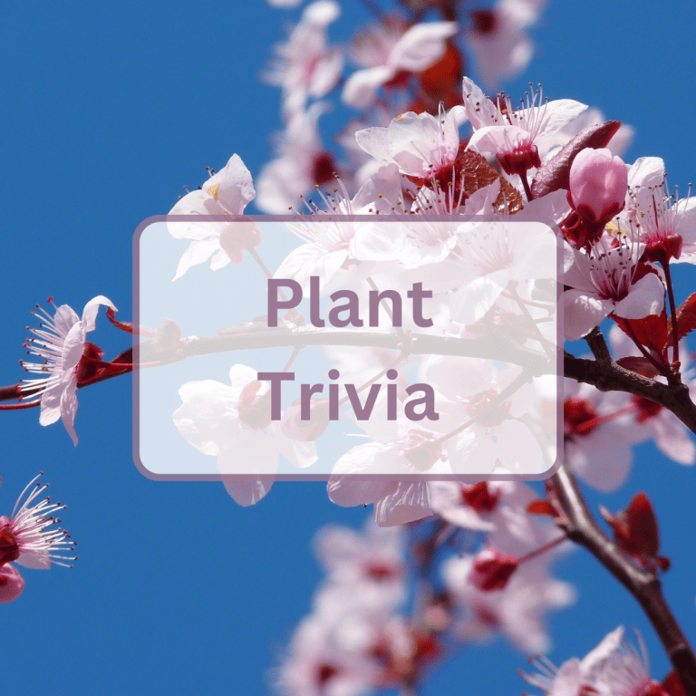 50 plant trivia questions and answers