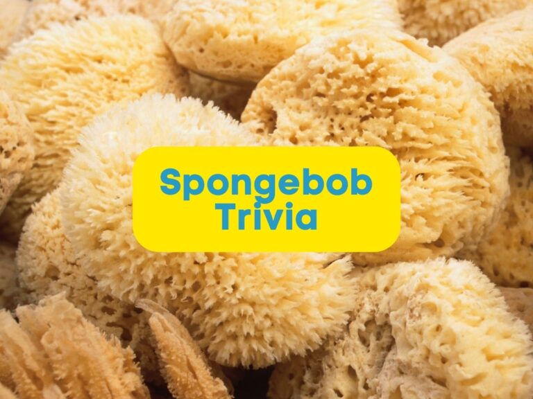 73 spongebob trivia questions and answers