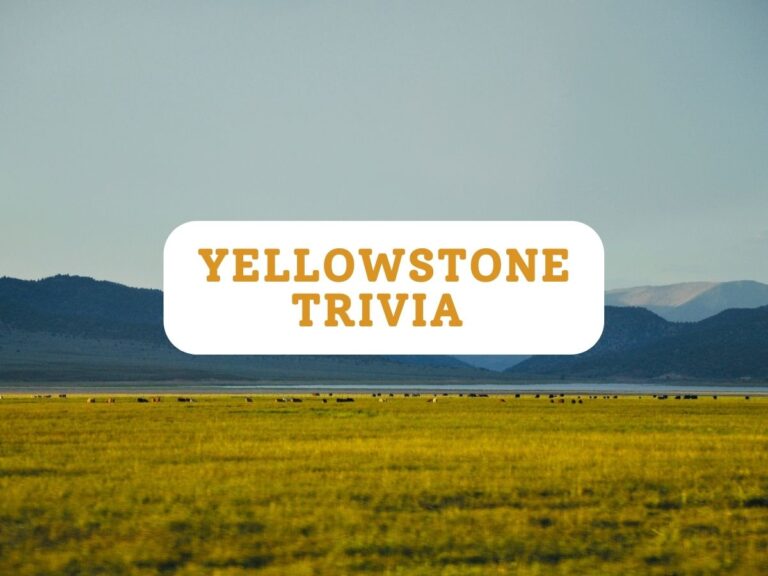 107 yellowstone trivia questions and answers